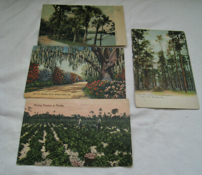 4 UNCOMMON 1901-41 FL PHOTO POSTCARDS  PINE BARRENS  1901-07 ROTOGRAPH; ROCKLEDG