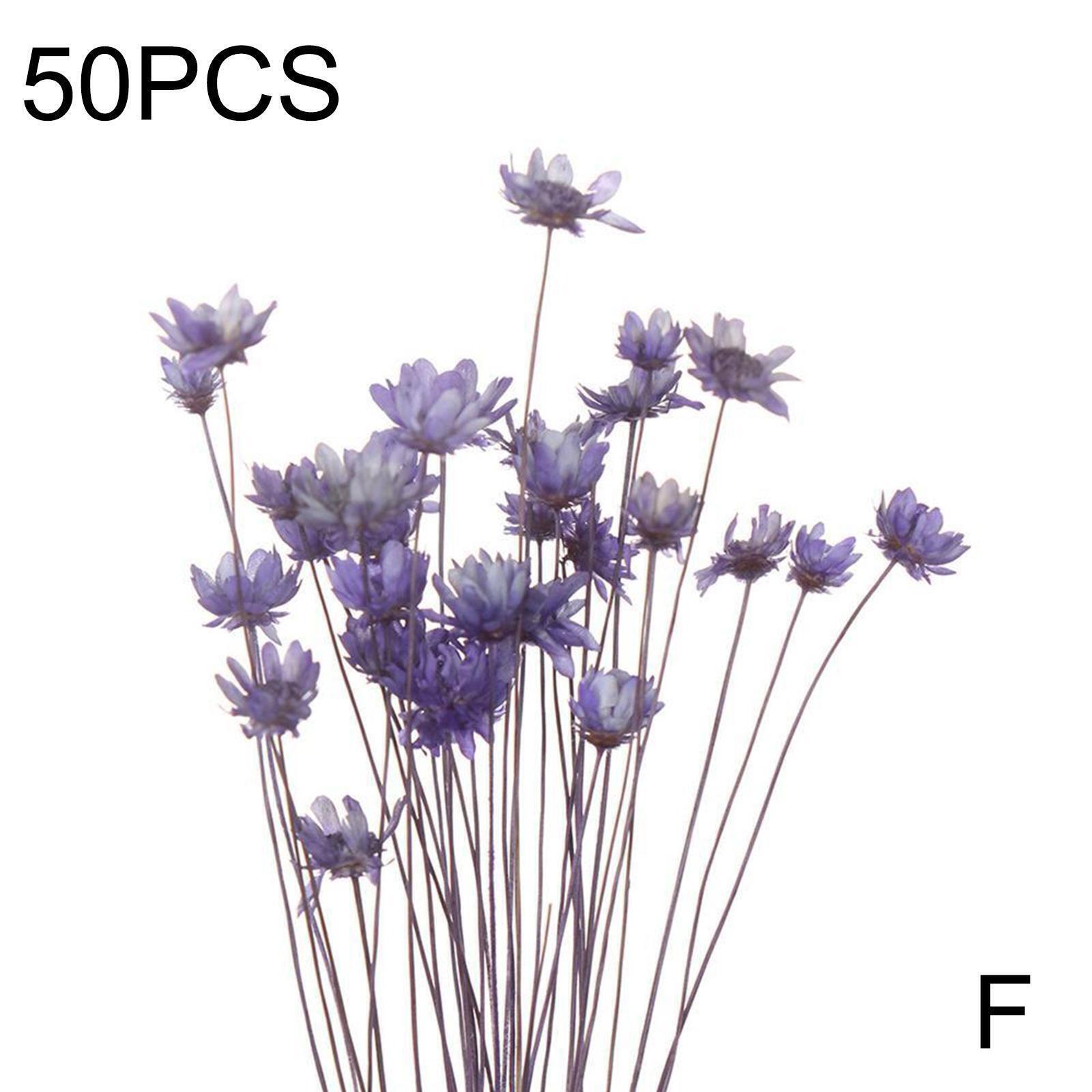 59pcs DIY Daisy Craft Dried Mini Flowers Decorative Bouquet Flower 