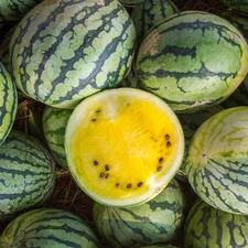 RARE Golden Honey Watermelon Seeds 10+ NON-GMO | ORGANIC | HEIRLOOM | FREE SHIP