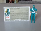 Vintage GI Joe Cobra Ninja Viper Mail Away No Sword Version with File Card 1991