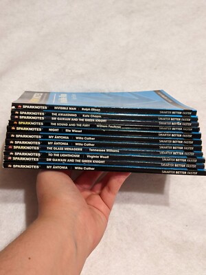 Sparknotes Lot of 11