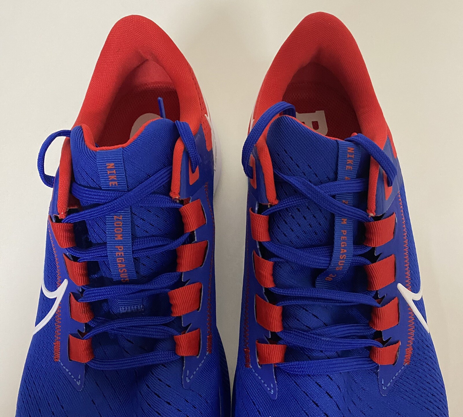 buffalo bills pegasus