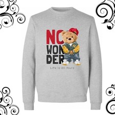 Beautiful teddy bear sweatshirt, USA teddy bear sweatshirt, teddy bear style tee