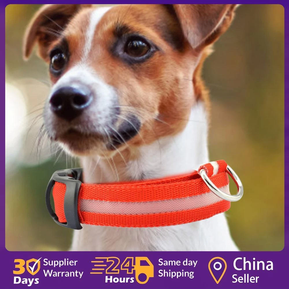 Matching dog collar and necklace cheap