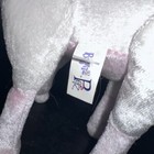 Foto 6 di 9