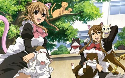 Anime nyan koi anime girls brunette tail open mouth Playmat Gaming Mat Desk