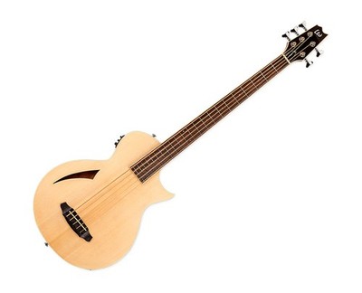 ESP LTD TL-5 Acoustic-Electric 5-String Bass Guitar- Natural - B-Stock