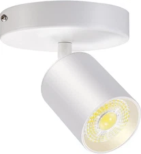 Flush Mount LED Ceiling Spotlight Dimmable Adjustable Spotlight Directional S...