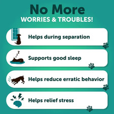 Hemp Calming Chews For Dogs Dog Anxiety Relief Treats With Hemp Oil Turmeric Val Hemp Calming Chews For Dogs Dog Anxiety Relief Treats With Hemp Oil Turmeric Val - Image 1