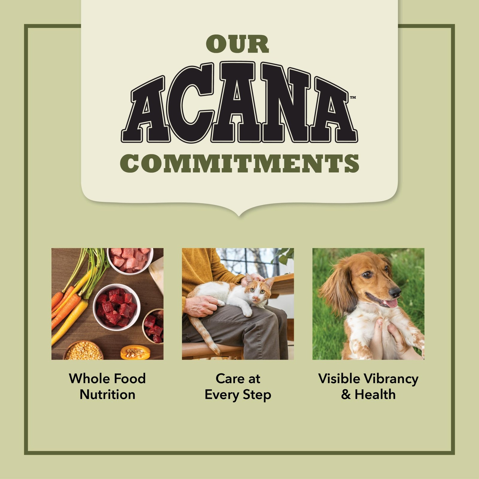 ACANA Senior Dry Cat Food 4lb Grain Free Chicken Turkey for Mature Cats 7 Years+