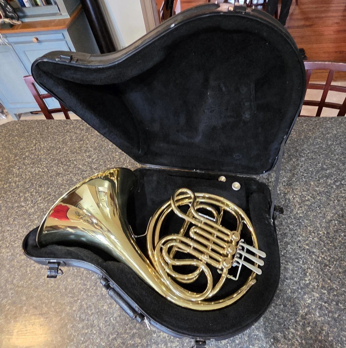 25+ Beginner French Horns for sale | Updated Oct 2026