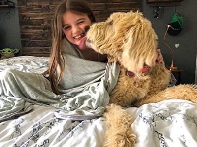 Elegear Revolutionary Queen Size Cooling Blanket Absorbs Body Heat to Keep  | eBay