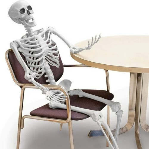 165cm Skeleton Full Size Poseable Human Joints Halloween PartyProp Haunted House - Picture 13 of 20