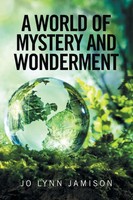 Jo Lynn Jamison | A World Of Mystery And Wonderment | Taschenbuch | Englisch