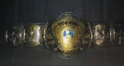 WWE Winged Eagle Dual Plated Championship Replica Title Belt