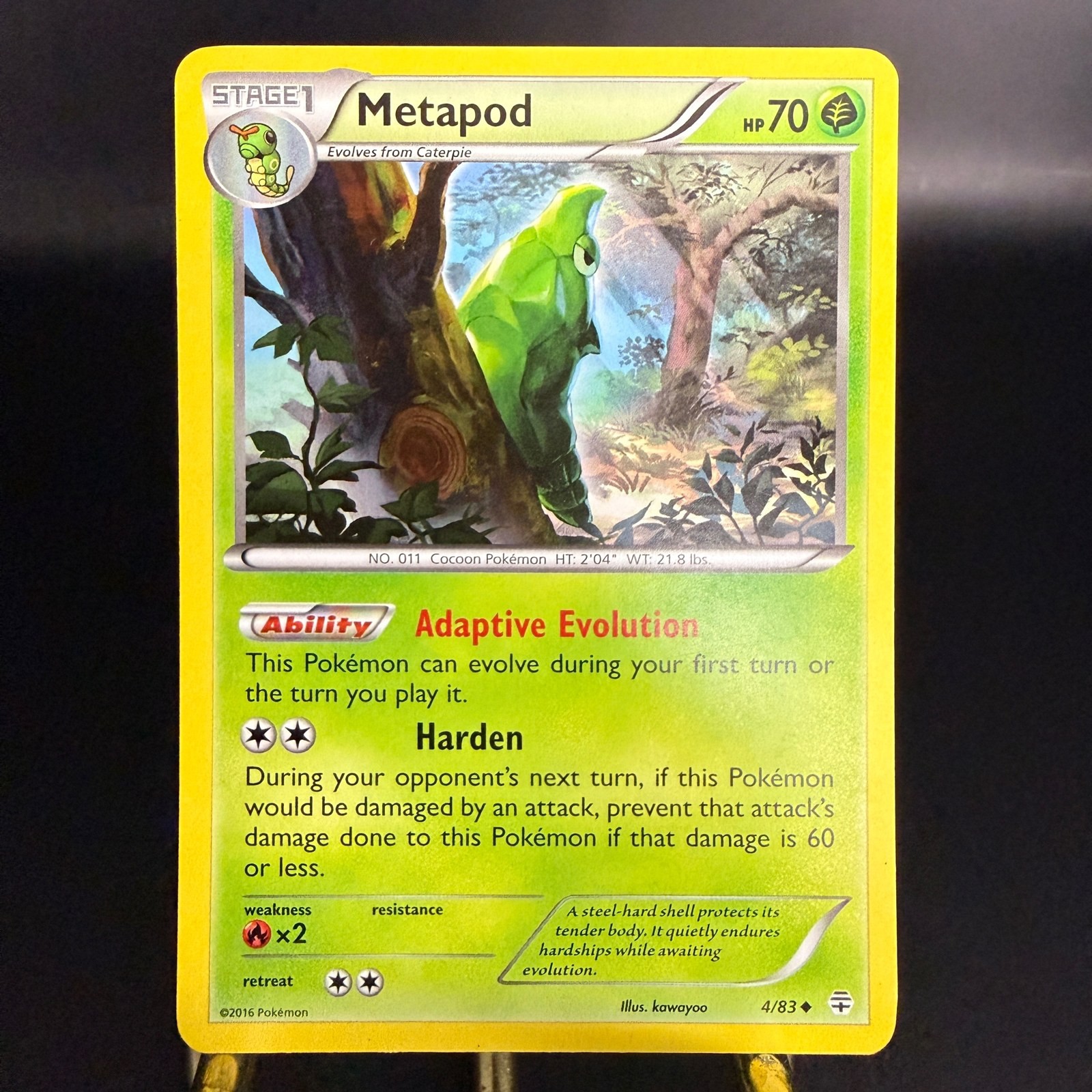Pokémon TCG Metapod 4/83 Generations EN Stage 2 Uncommon Regular HP70 NM