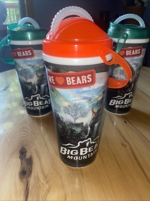 Dollywood Big Bear Mountain Roller Coaster Mug Cup, 2024-Lot Of 3