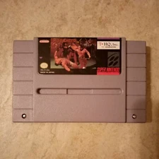 Pit-Fighter SNES(Super Nintendo Entertainment System 1992) Cartridge ONLY Tested