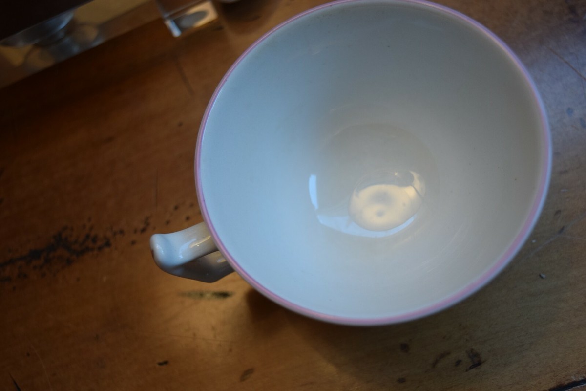 Spode Pearl River Coffee Tea Cup No SAUCER Williamsburg Reserve 