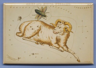ARIES *2X3 FRIDGE MAGNET* ASTROLOGICAL ASTROLOGY HOROSCOPE CELESTIAL ZODIAC RAM