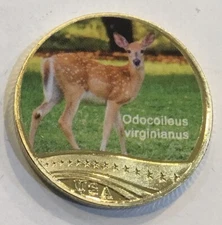 Animals Of The United States Odocoileus Virginianus Deer Coin Medal Wildlife