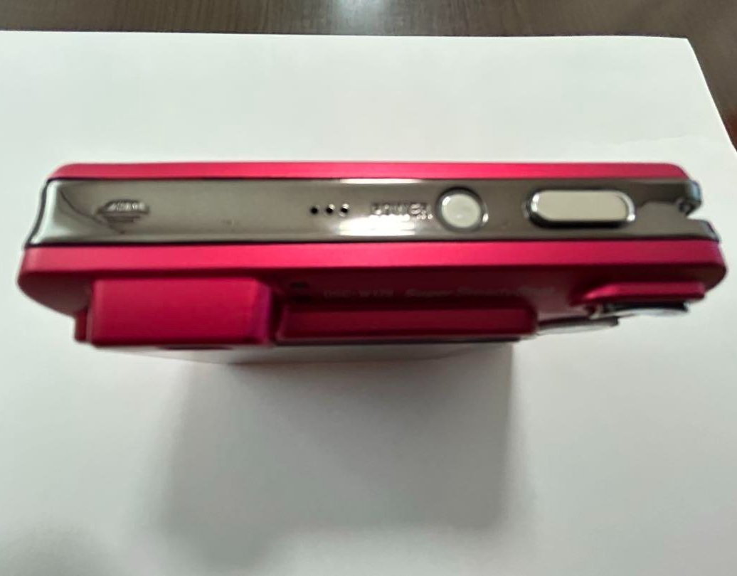 Sony Cyber shot DSC-W170 Red 10.1MP 5.0x zoom Compact Digital