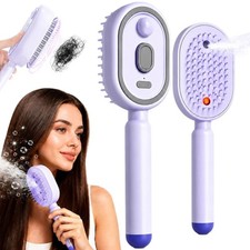 2026 New Electric Steam Brush, Electric Steam Brushs for Hair, Rechargeable
