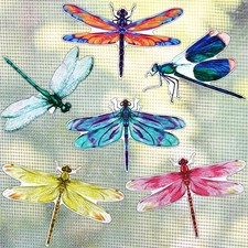 12 Pieces Dragonfly Screen Door Magnets Double Sided Screen Stickers Magnetic...