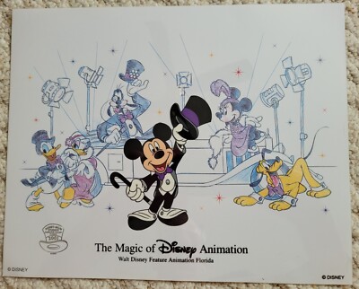 独特の上品 ANIMATION DISNEY OF MAGIC THE 13  10.5 x 絵画