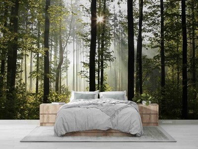 3D Nature Forest Sunny Self-adhesive Removeable Wallpaper Wall Mural 230