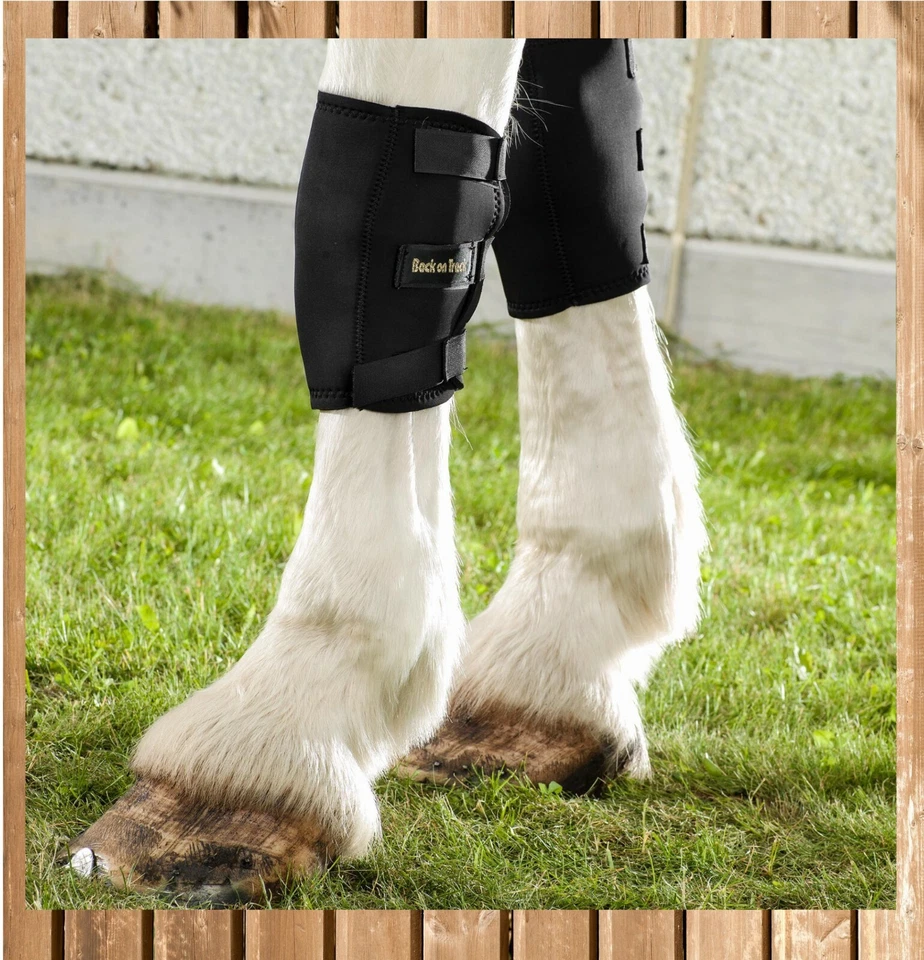 Back on Track Karpalgelenkschoner für Pferde, Knee Boot, Gelenkschoner, Stück - Bild 2 von 3