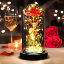 Eternal Forever Romantic Rose Flower In Glass Dome LED Light Christmas Gift 
