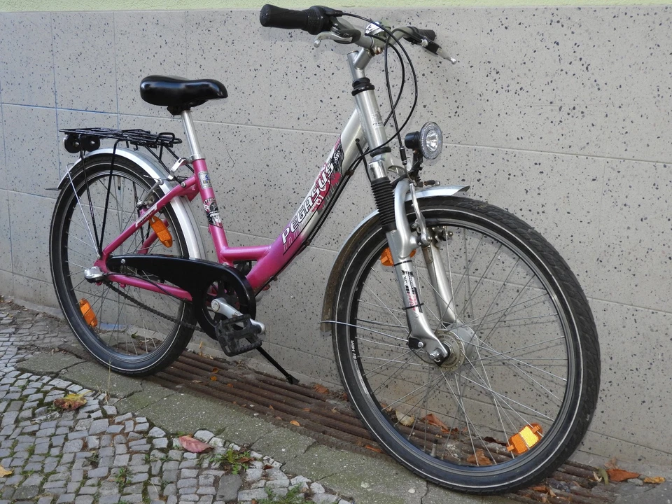 Top 100% ok ALU Mädchen Damen PEGASUS Fahrrad 24 zoll Feder Gabel Naben Dynamo