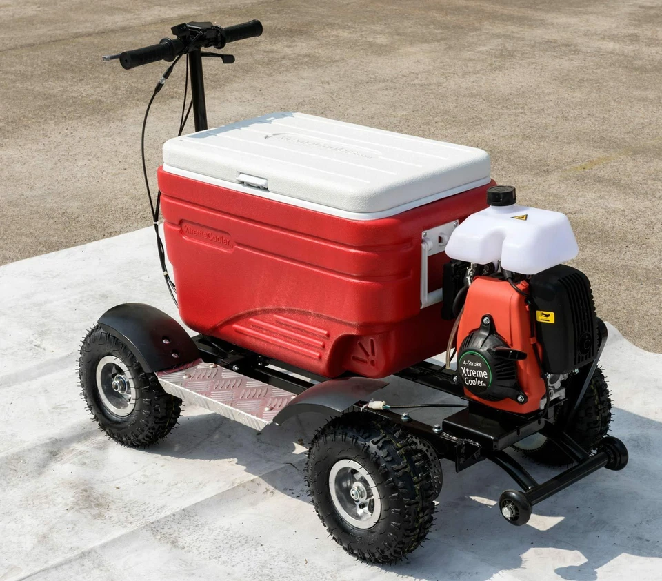 49cc 4 Stroke Motorised Cooler Scooter Esk Motorised Scooter Icebox Disc Brake - image 4 of 4