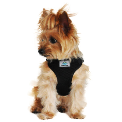 choke free dog harness