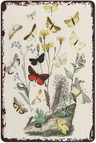 Butterfly Tin Metal Sign Butterflies And Flowers Vintage Wall Art 8x12