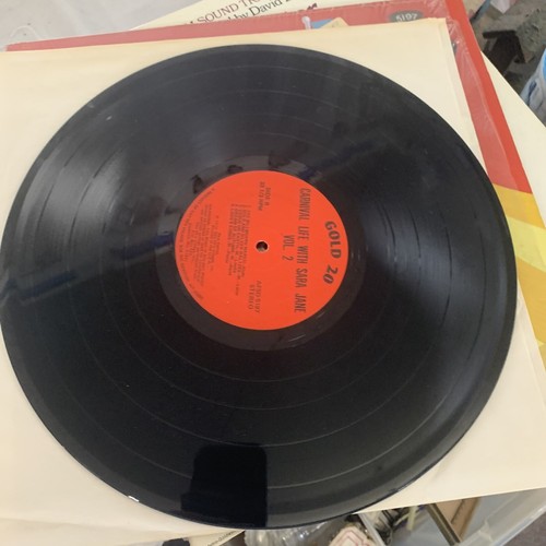 Sara Jane Carnival Life Vol. 2 vinyl LP NM in shrink 1975 “dd” - Imagen 5 de 5