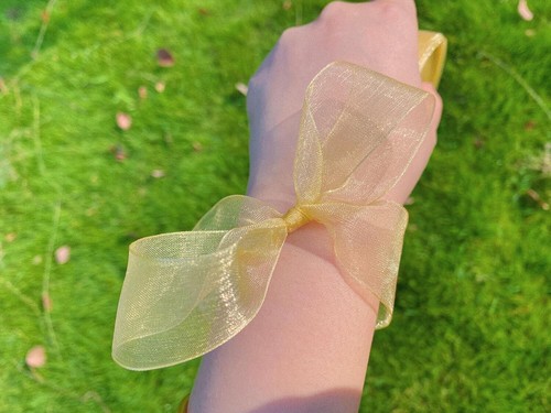1 Inch 50 Yards Sheer Organza Ribbon Chiffon for Gift Wrapping Gold - Picture 4 of 6