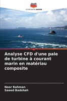 Noor Rahman (U. A.) | Analyse Cfd D'une Pale De Turbine à Courant Marin En...