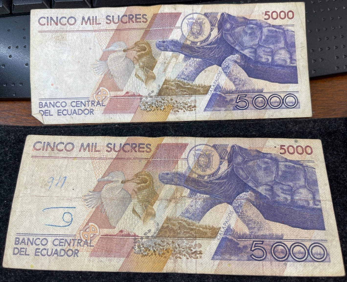 Foto 6 di 6