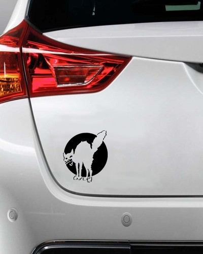 Class War Sabotage Cat Die Cut Vinyl Sticker - Human Liberation Rights Anarchy - Picture 2 of 11