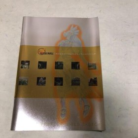 PS1 Valkyrie Profile Limited Box Limited Edition Playstation 1 Sony Japan Import