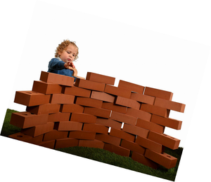 playlearn bricks