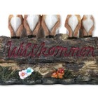 Bild 4 von 5