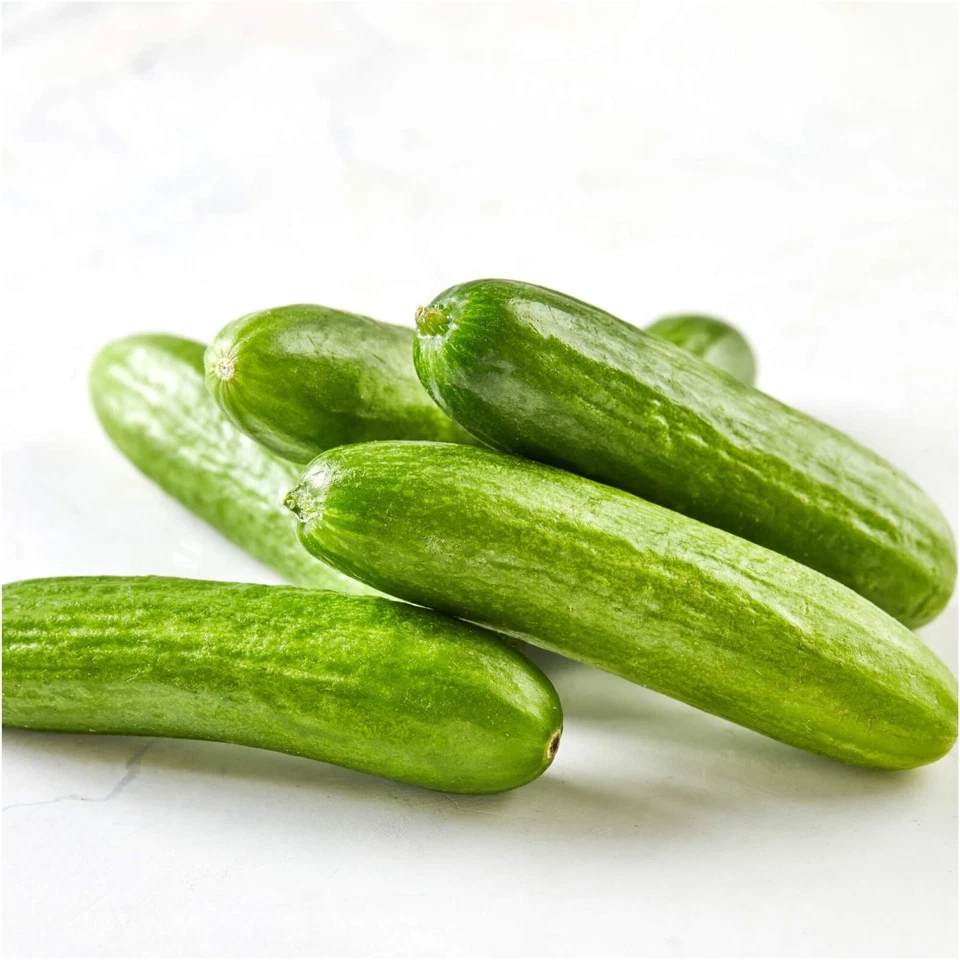 CUCUMBER Baby Snack Poco F1 5 seeds HYBRID vegetable garden SPRING SUMMER nongmo - Image 2 of 2