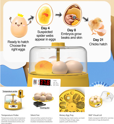 Chicken Duck Goose 6/12 (Bird) Eggs Incubator Automatic Turning Hatching Brooder