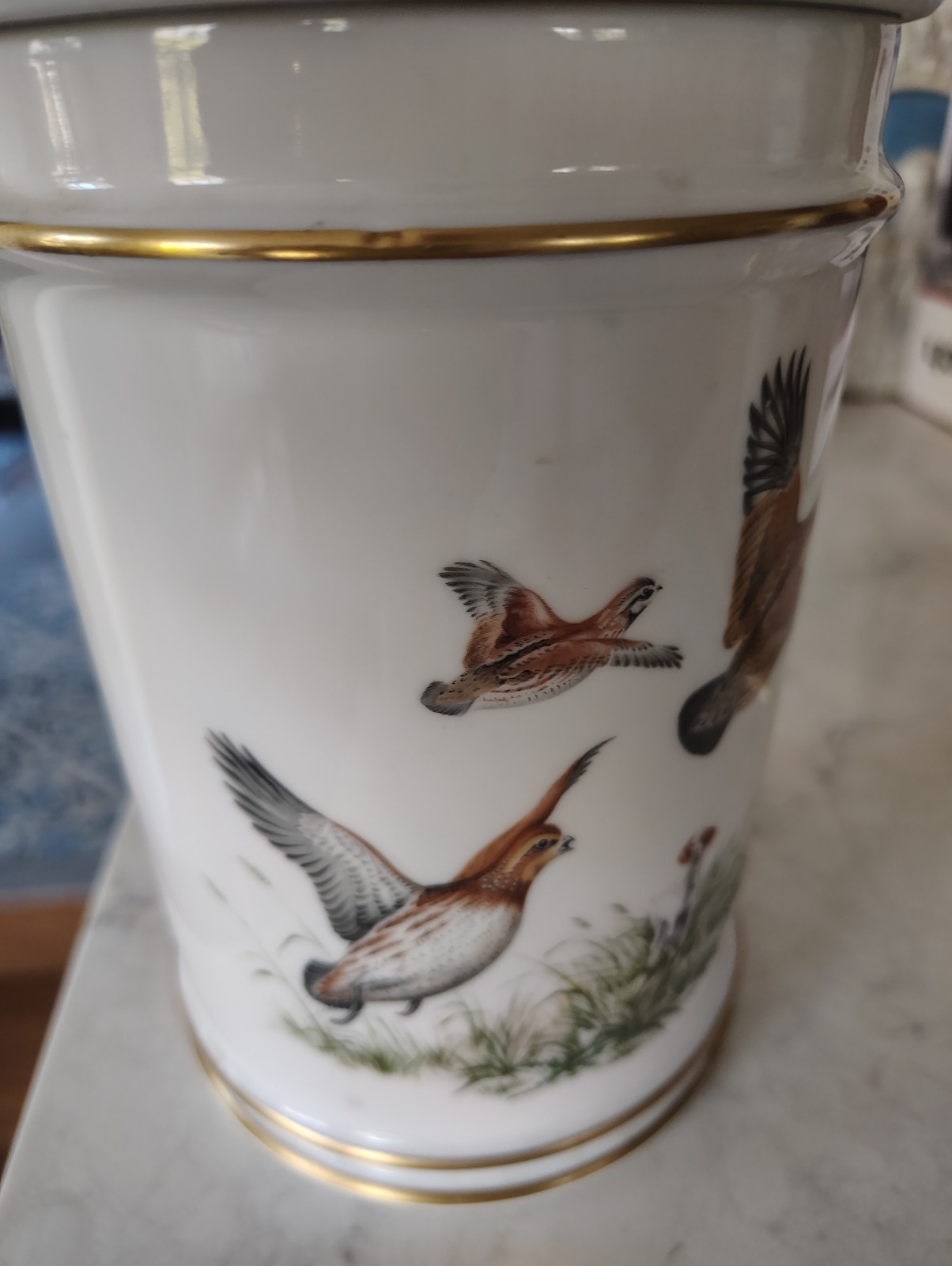 Hunt Scene quail , pheasant , hunting dog 