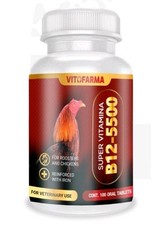 Super Vitamina B12 5500 100 Tablets - Vitofarma B12 5500 With Iron