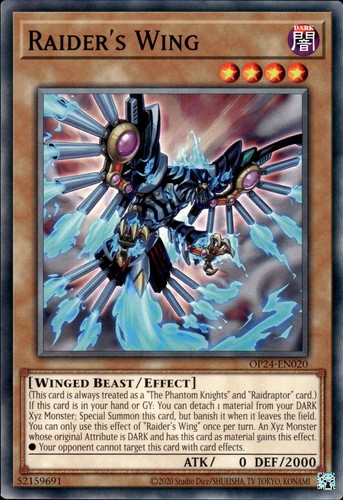 Raider's Wing