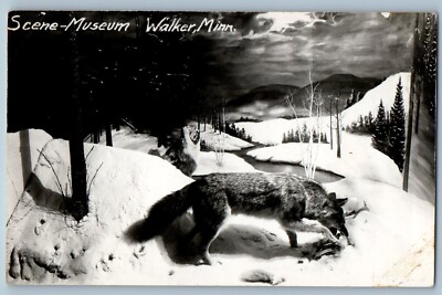 Walker Minnesota MN Postcard RPPC Photo Scene Museum Wolf Winter c1910's Antique